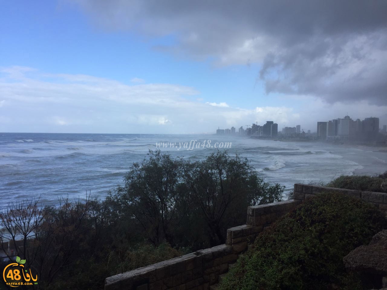 yaffa clouds3j (2).jpg